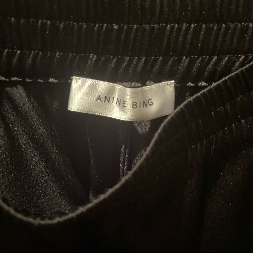 Anine Bing Romy Wide Leg Silk Pants MEDIUM, Never Worn, Orig $300 - Picture 9 of 11